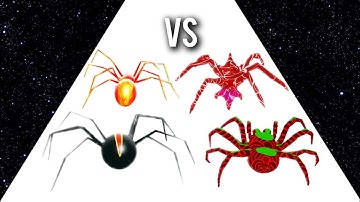 Insect Run VS Spider Run - Evolution Games Walkthrough