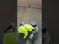 Pad Capping VLM Carpet Cleaning