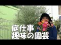 【趣味の園芸】庭仕事