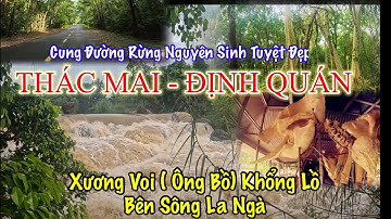 Ông Voi bên bờ Thác Mai sông La Ngà và cung đường rừng nguyên sinh ở Định Quán.