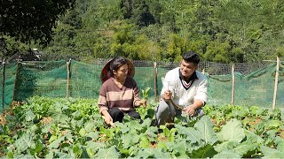 Download Lagu Ontroerend: De zoete bekentenis van CEO Quang aan een alleenstaande moeder. MP3