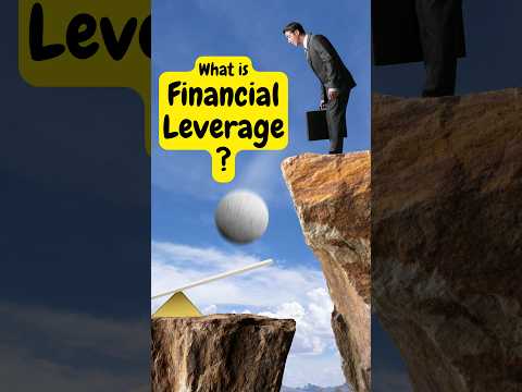 What is "Financial Leverage" ? #moneywiseminutiae