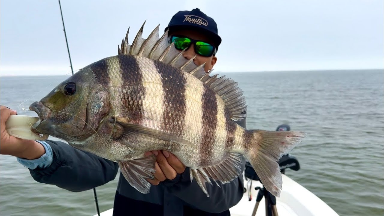 Loading Docks Fish These DOCKS Were Loaded With Fish!! Non Stop ACTION! - YouTube
