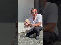 تعالى اتفرج على كلب البيجل و لكن اللون مفاجأة تعالى اتفرج على كلب البيجل و لكن اللون مفاجأة