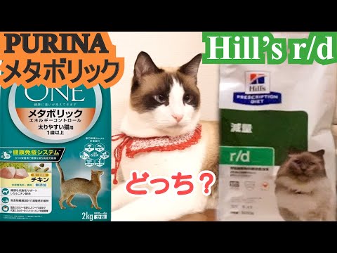 ピュリナメタボリックとヒルズrdどちらを食べるか検証 Cat food comparison Purina or Hills