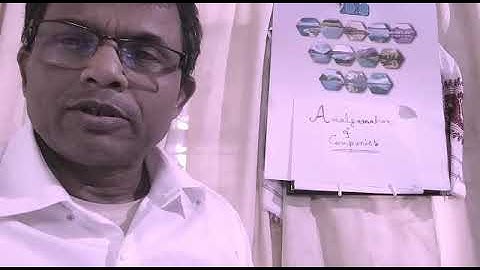 Amalgamation: Entries in the Books of Transferor: Lecture-9: Dr. Gour Gopal Banik