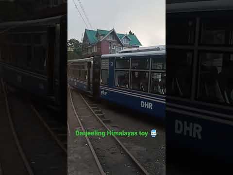 Video: Darjeeling Himalaja-spoorweg-speelgoedtrein: noodsaaklike gids