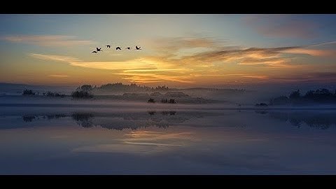 Terbang (Original)