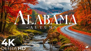 видео: Осень в Алабаме 4K 🍁 Предгорья Аппалачей, живописные дороги и золотистые леса в осенних красках картинка: Осень в Алабаме 4K 🍁 Предгорья Аппалачей, живописные дороги и золотистые леса в осенних красках