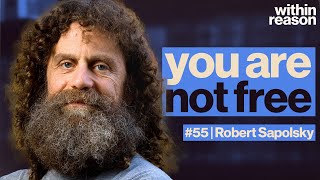 There's No Free Will. What Now?  Robert Sapolsky