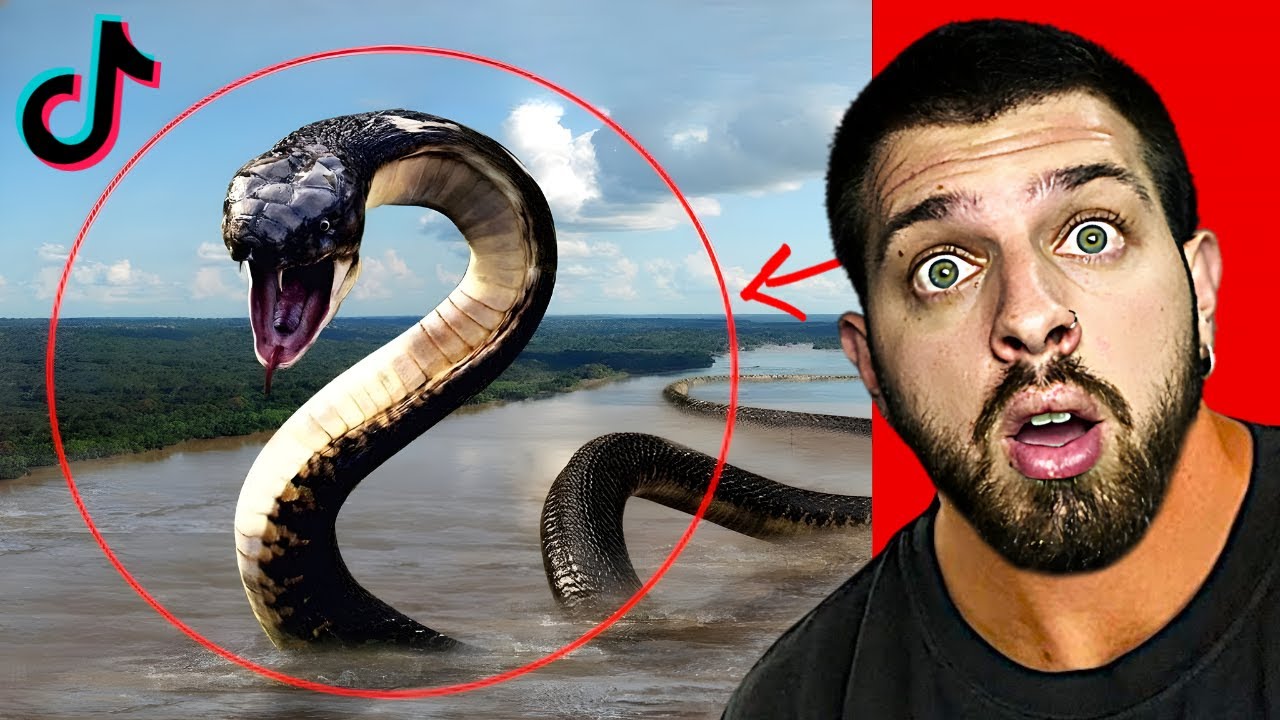 Τρομακτικά ΠΛΑΣΜΑΤΑ που ΒΡΕΘΗΚΑΝ στον ΩΚΕΑΝΟ!