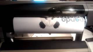 Plotter HP Designjet 800 PS
