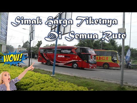 HARGA TIKET BUS AGRA MAS SEMUA RUTE