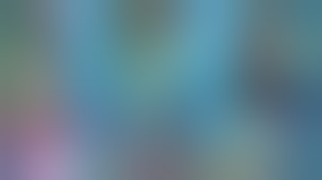 Best Fails of the Year 2016 (part 2)