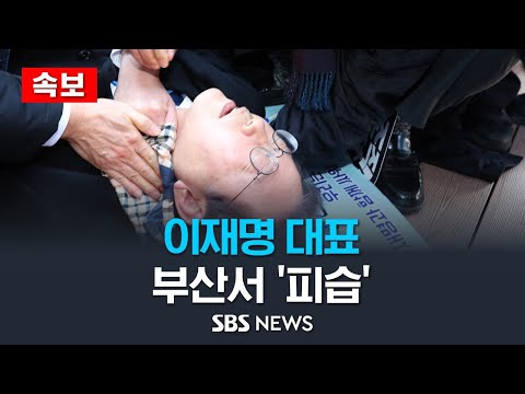 [속보] 피습 용의자 현장 검거...흉기 소지 / SBS