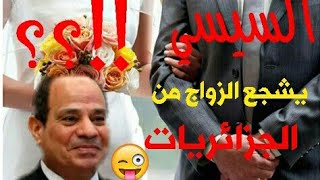 السيسي يشجع زواج المصريين من الجزائريات