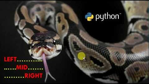 String Manipulation (Left, Mid & Right) in Python