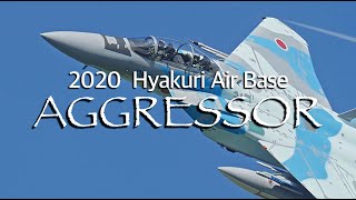 百里基地 2020 アグレッサー 教導訓練 JASDF AGGRESSOR F-15DJ Eagles