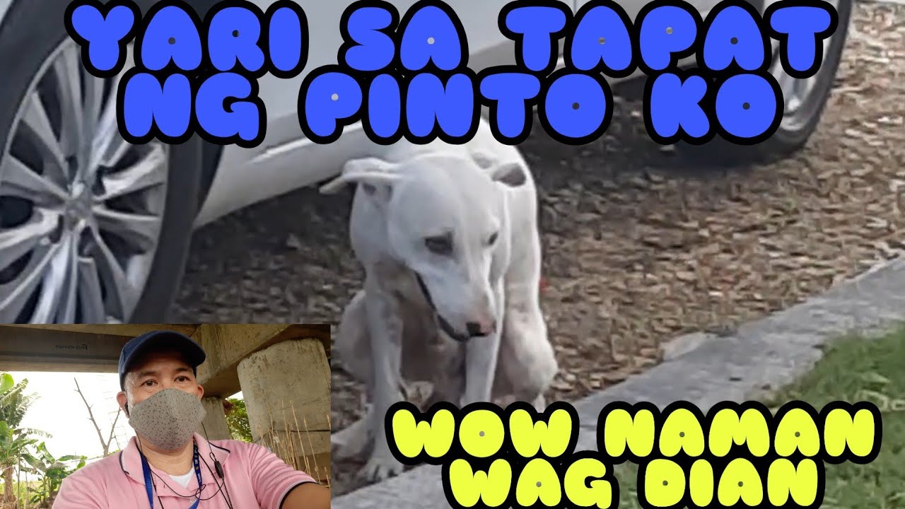 SA TAPAT NG PINTO NG SASAKYAN YouTube