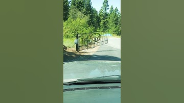 Automatic Exit Prob Testing