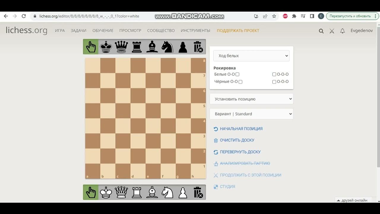 Lichess не работает. Вилка в шахматах.