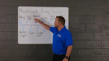 Modified Borg Scale Introduction