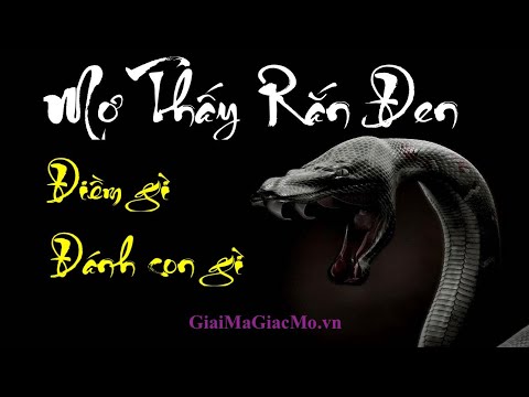 Mơ Thấy Rắn Đen Điềm Gì, Đánh Con Gì 👉GiaiMaGiacMo.vn👁 Giải Mã Giấc Mơ Thấy Rắn Đen Trắng ✅Sổ Mơ Rắn