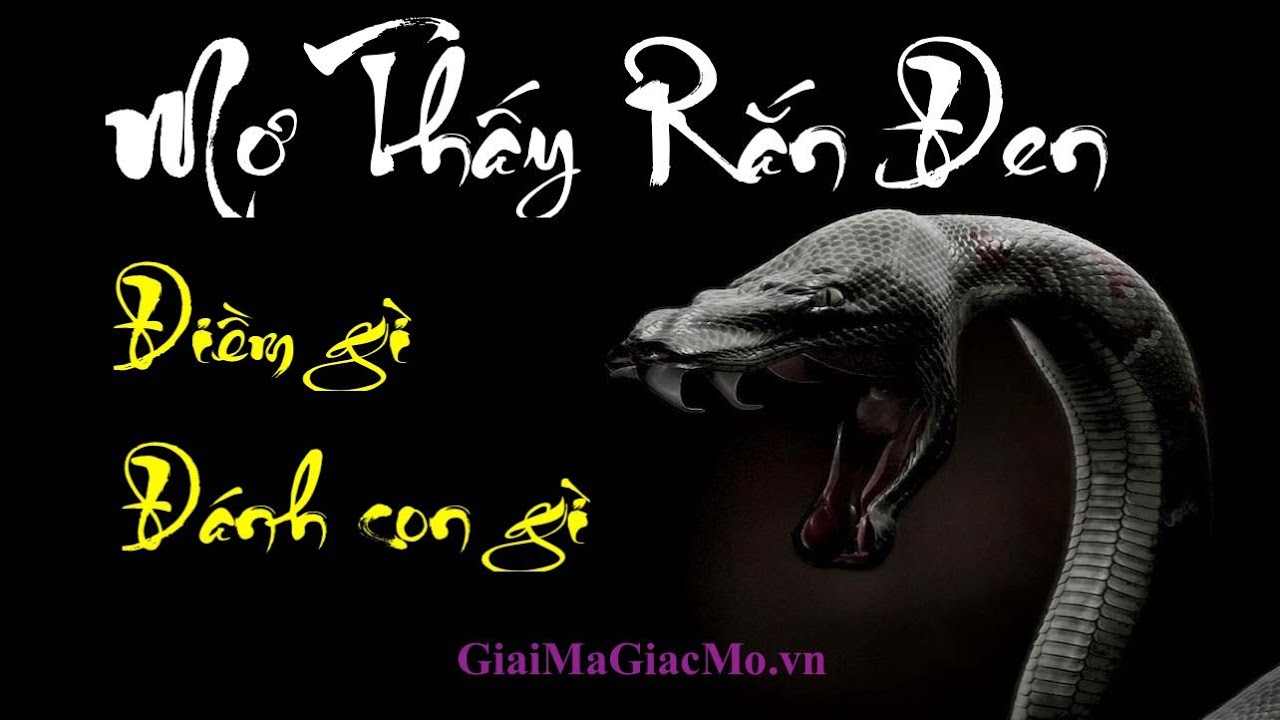 thể thao play168 Mơ Thấy Rắn Đen Điềm Gì, Đánh Con Gì 👉GiaiMaGiacMo.vn👁 Giải Mã Giấc Mơ Thấy Rắn Đen Trắng ✅Sổ Mơ Rắn