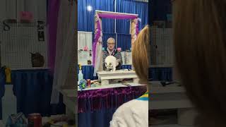 NuDawnz Endless Love receives BEST KITTEN from TICA Allbreed judge Amy Stadter by NuDawnzCattery 54 views 1 month ago 1 minute, 36 seconds