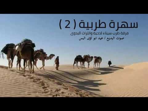 دحية معولين اربع ركايب طلن والاوله تلوحى 2020 جديدة سهرة طربية البديع عيد ابو لؤى البس