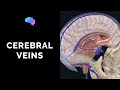 Venous Drainage of the Brain (3D tutorial)