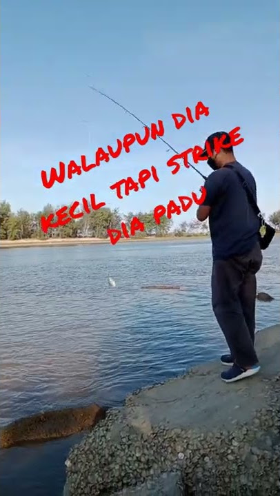 IKAN LEMBU!!!
