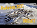 Ловля корюшки. Рыбалка в Приморском крае 2021. Первый лед