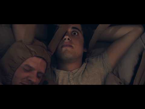 Flöhe bekämpfen 4/4 | beaphar