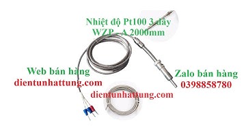 Đầu do cảm biến nhiệt độ PT100 M6 WZP-A 2000MM Loại ren 12mm dây hợp kim