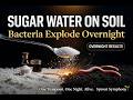 The Sugar Water Trick That Supercharges Soil Bacteria Overnight