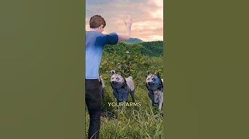 How To Survive A Wolf Attack #shorts