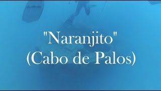 🤿 Buceo en el Naranjito de Cabo de Palos