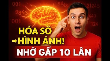 Tôi đã nhớ mọi thứ như thế nào?