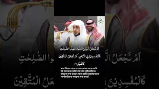 Surah Sad 28 | Sheikh Waleed al Shamsan | Quran | Bangla translation