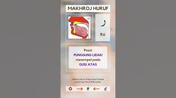 10 | MAKHROJ HURUF | ro (ر) |  Asal Tempat Keluarnya Huruf Hijaiyyah di Bunyikan