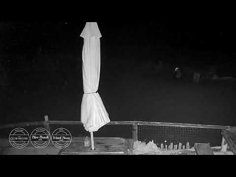Hive Beach Cafe Live Stream