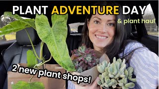 MANY $19 RARE Philodendrons! 2 New Plant Shops  Plant Shopping For Indoor Plants & Plant Haul