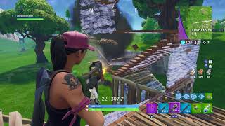 Skin Lider Del Equipo Rosa Win Fortnite Battle Royale