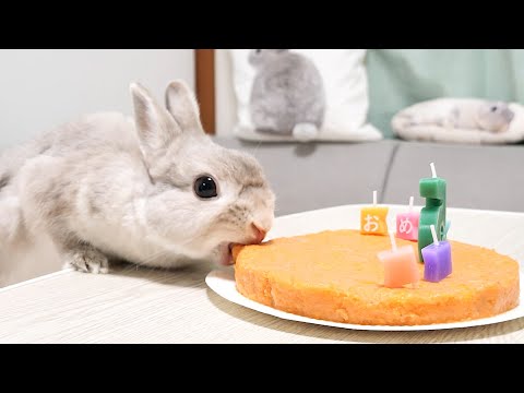 絶版　品切れ　初版本　うさぎおばさんのケーキ　おぼまこと 絶版 品切れ 初版本 うさぎおばさんのケーキ おぼまこと - メルカリ