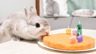 お誕生日にサプライズケーキを渡してうさぎさん感動させたったｗｗｗ