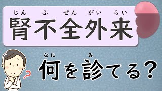 (Part②)腎臓内科医は患者さんの「何」を診てる？腎不全のある腎臓病【腎臓内科医が解説】