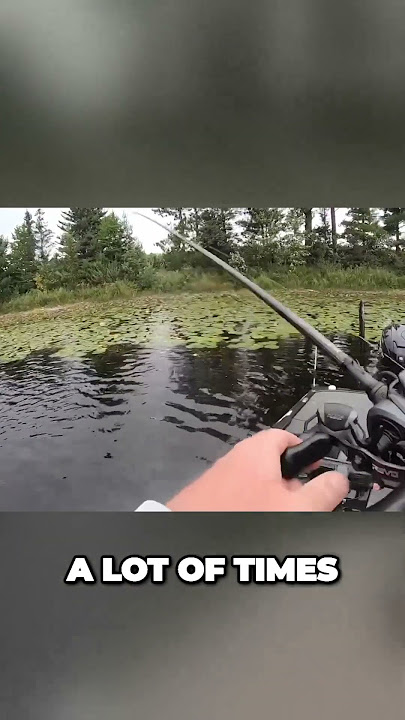 Mastering the Art of Flipping Grass for Epic Fishing Success