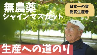 【国内唯一の無農薬シャインマスカット！】日本一の賞を受賞するプロの生産者手がける、無農薬シャインマスカットが作られる秘密を公開
