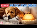 247 psychological stability music for anxious dogsseparation anxiety music  stress relief music